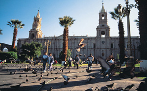 Arequipa