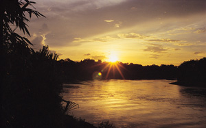 Tambopata Eco Lodge