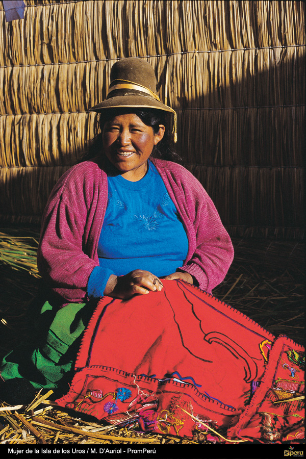Puno Practico